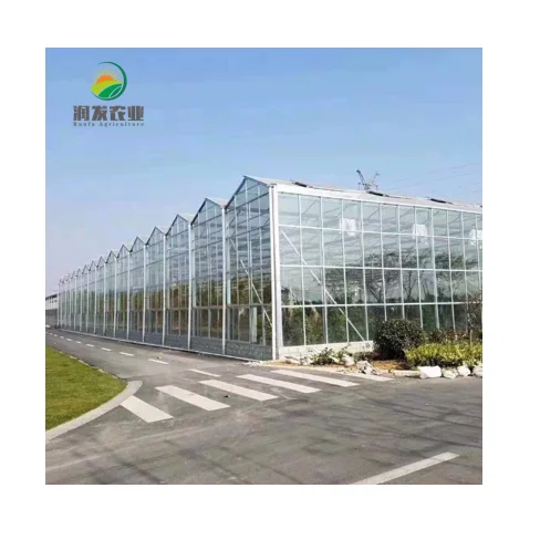 Multispan Agriculture Intelligent Glass Greenhouse With Stereoscopic Culture Vertical Farm Plant And Agricultural Hydroponic