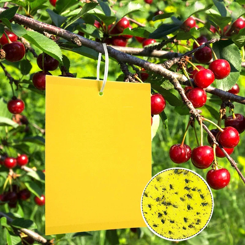 Popular Wholesale Price Yellow Sticky Trap Fly Paper