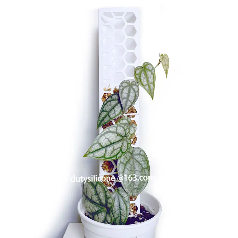 plastic Honeycomb Coir water Moss Poles Stick For Plant Stands column,climbing Indoor Plants Moss Poles Transparent