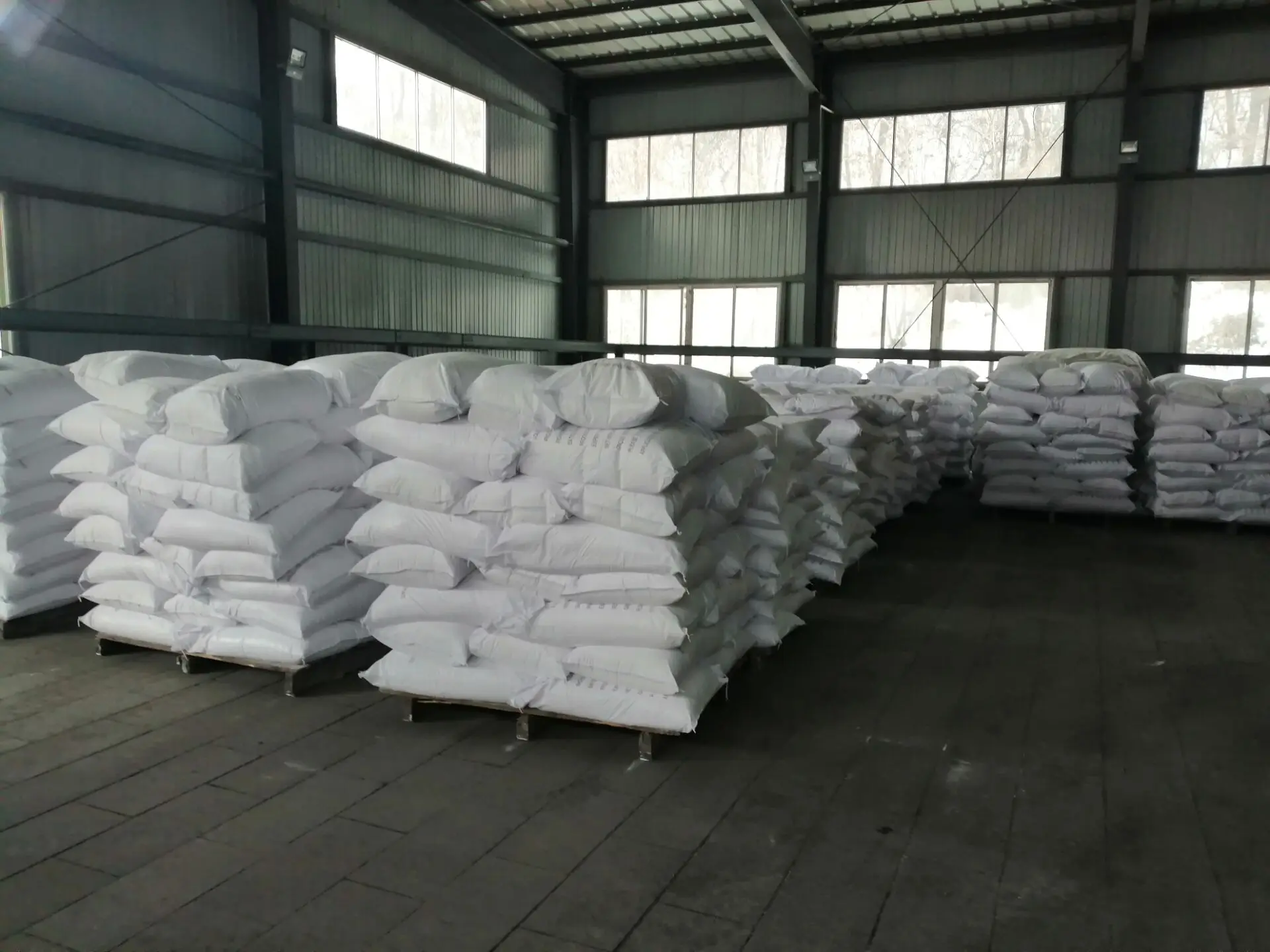 sodium benzoate noodle 3.jpg