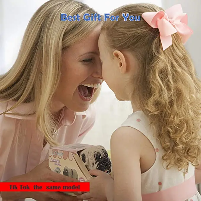 Squishy Fidget Sensory stress pug dog toys, Decompression squishies Squeeze anxiety relief chubby puppi