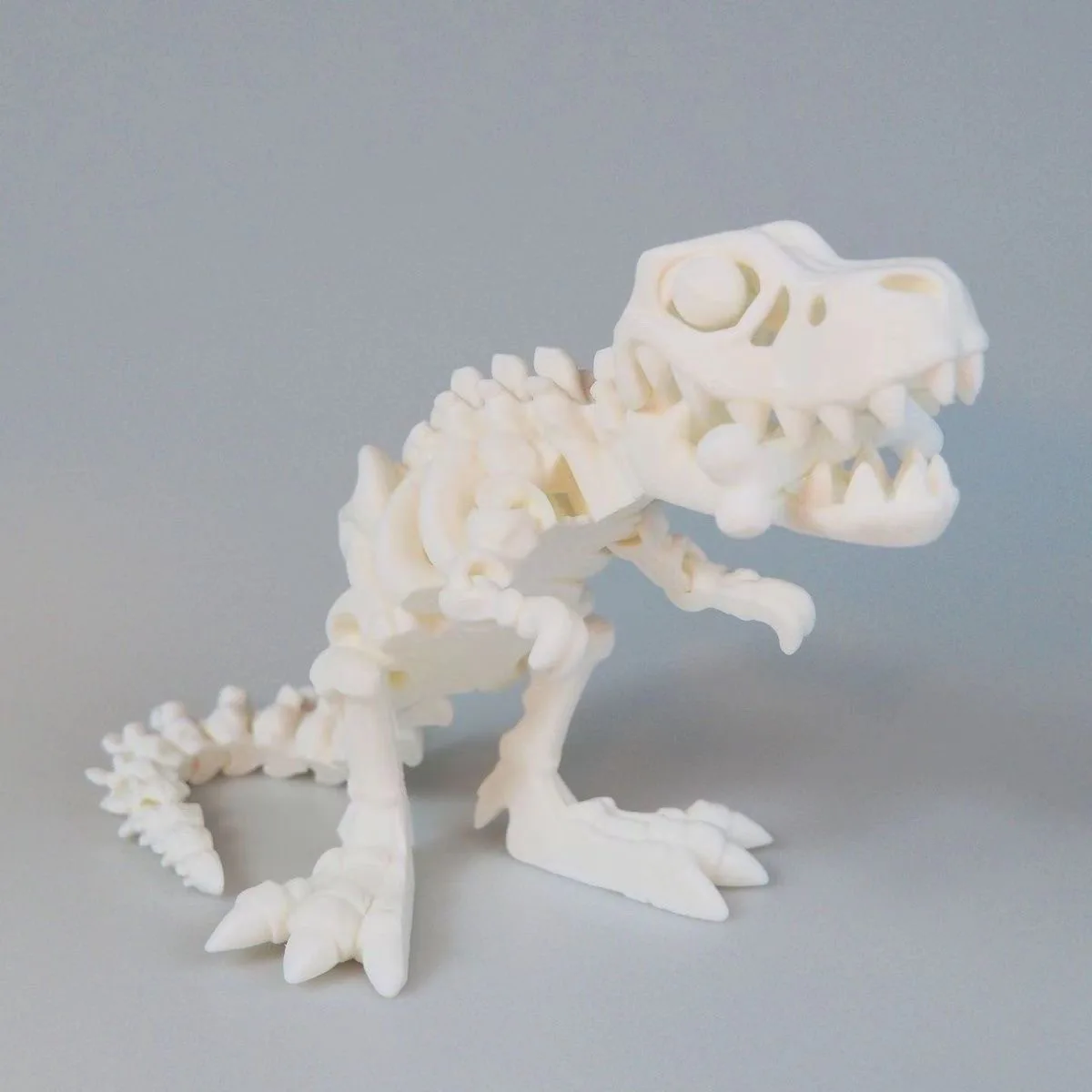 Exquisite Unisex 3D T-Rex Fossil Skeleton Artwork Handicraft with Movable Joints and Openable Mouth