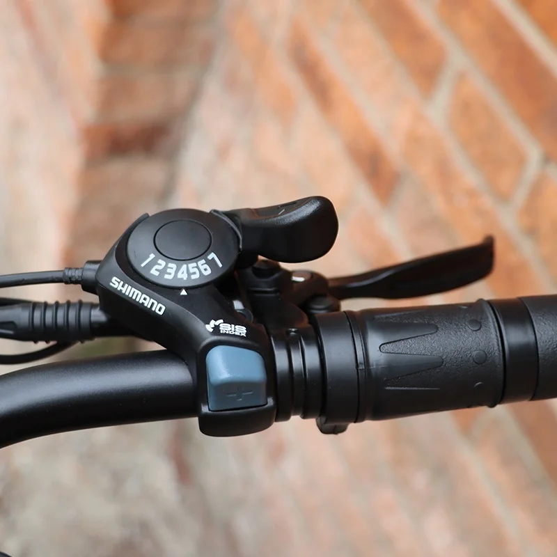 Hot sale 48V 500W 750W Power China Cheap Full Suspension Retro Vintage E Bike Ebike Dirt Mountain Fat Tire Bicycle Electric Bike