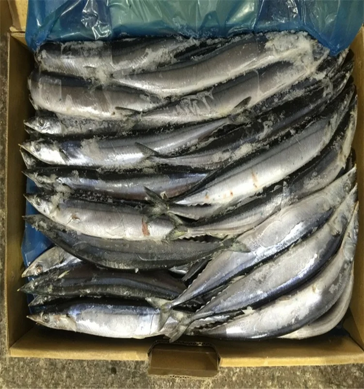 
Fresh Wholesale Frozen (Cololabis Saira) Pacific Saury Fish 