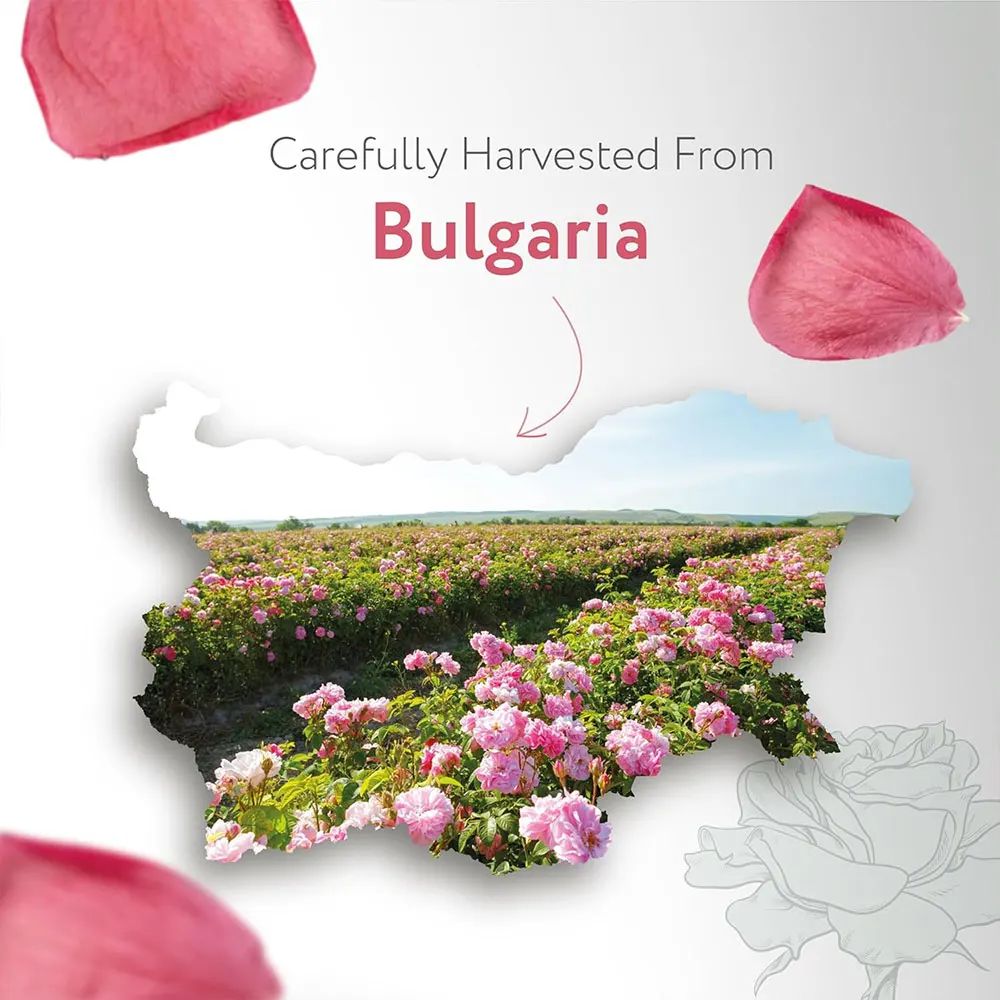 Спрей-100% для