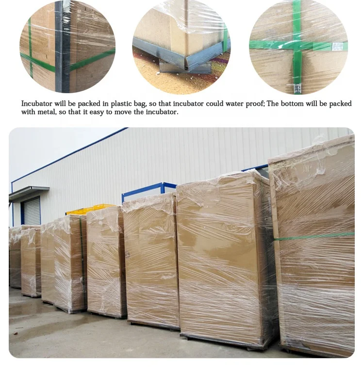 Customized Design 8448 Automatic Incubators Blue limit Switch Egg Incubators