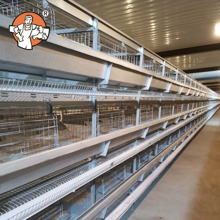 Модернизированное сельскохозяйственное оборудование, сельскохозяйственные слойные клетки, дизайн клетки для цыплят