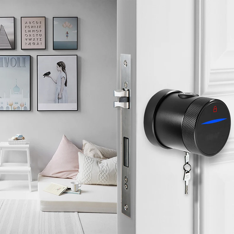 Airbnb tuya api программируемый портативный набор дверного замка смарт-цилиндр smartlock отпечатков пальцев Умный Замок