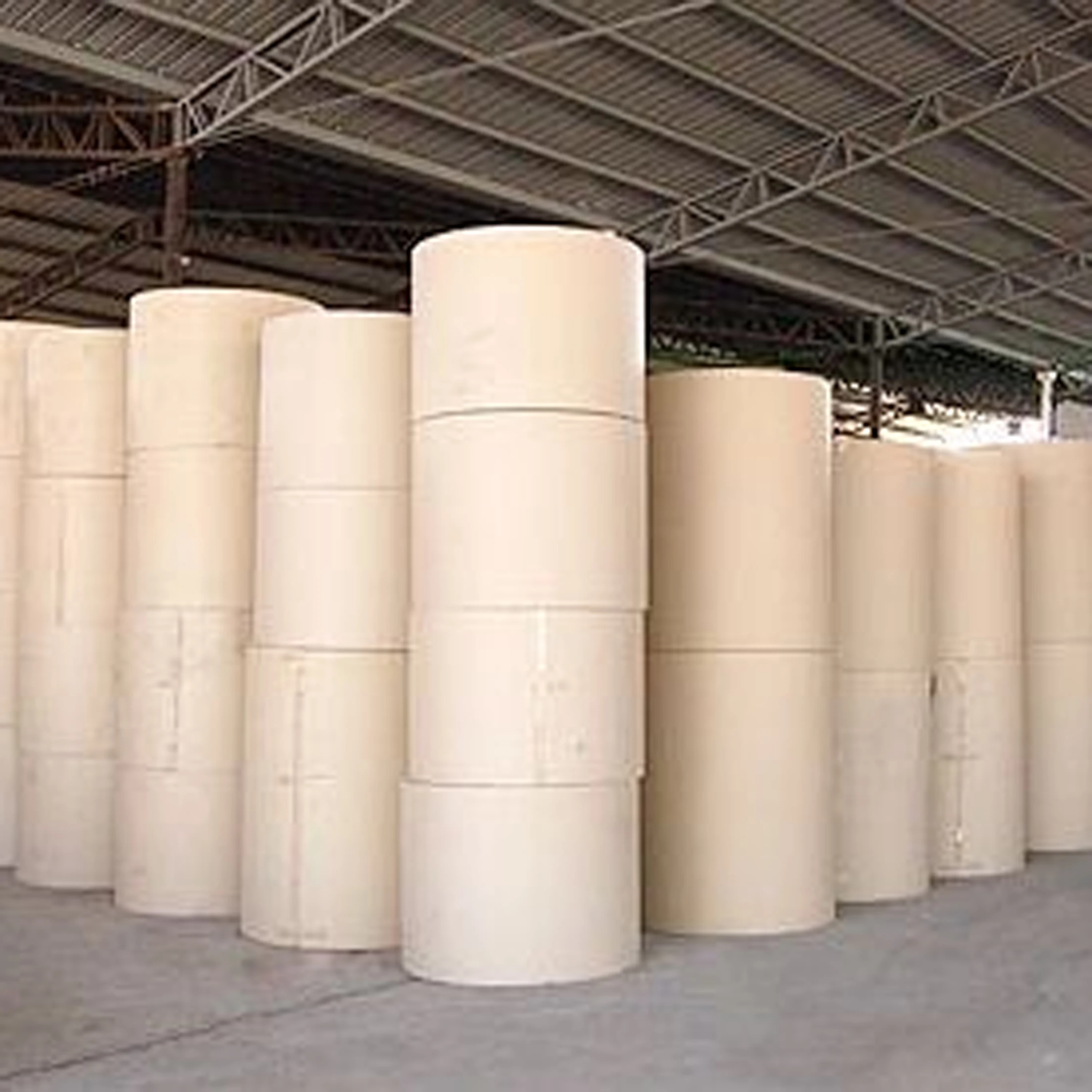 795mmx5000m for slitting thermal pos paper roll