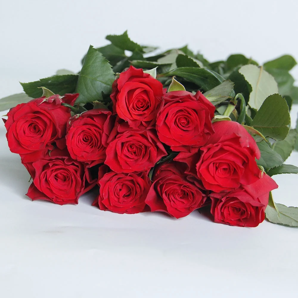 Wholesales Factory Supply Ecuador Fresh Cut Flowers Red Roses Lilies Antherium  For Home Valentine Flower Arrangement Bouquet