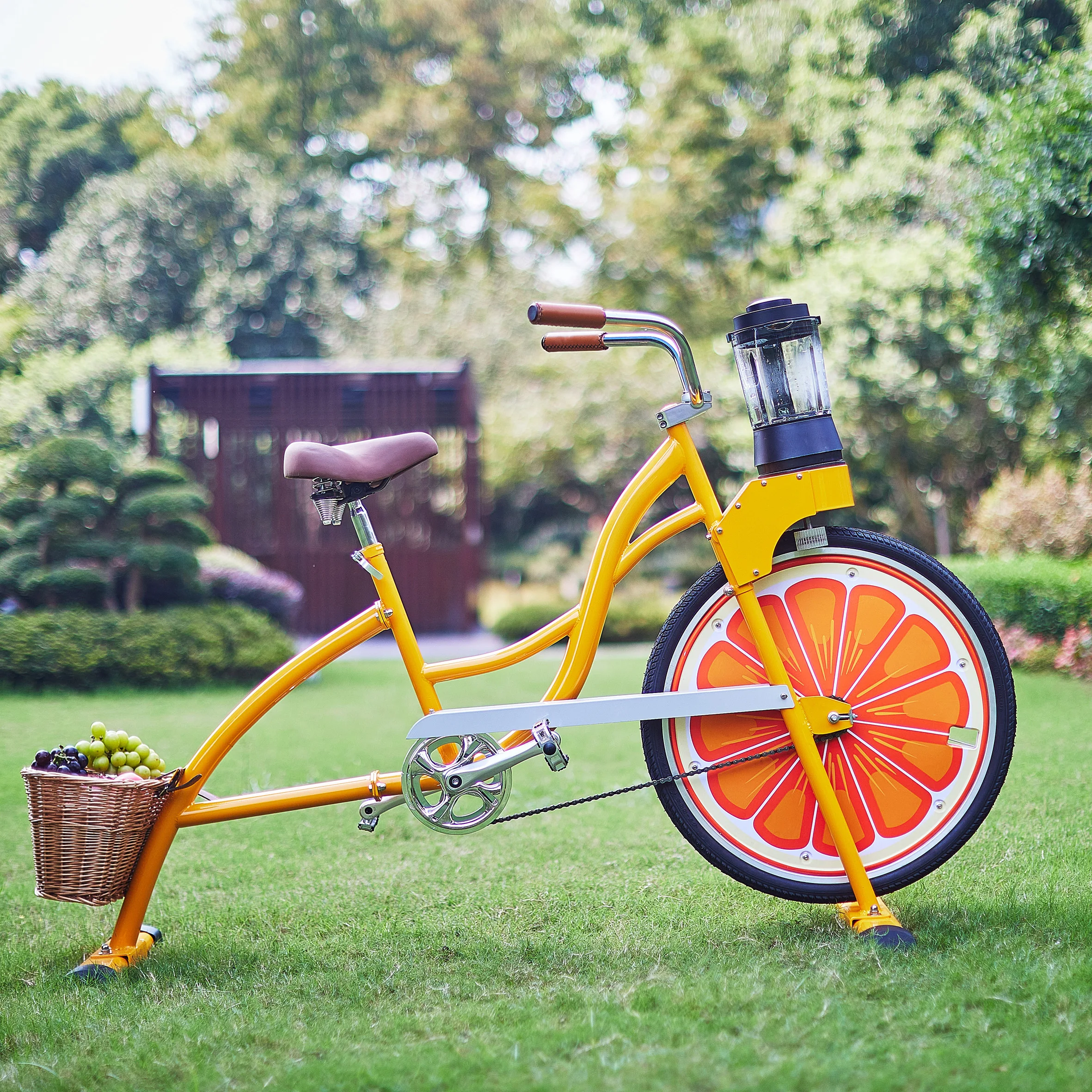 EXI White single wheel beach cruise bike commercial juicer bike fruit machine