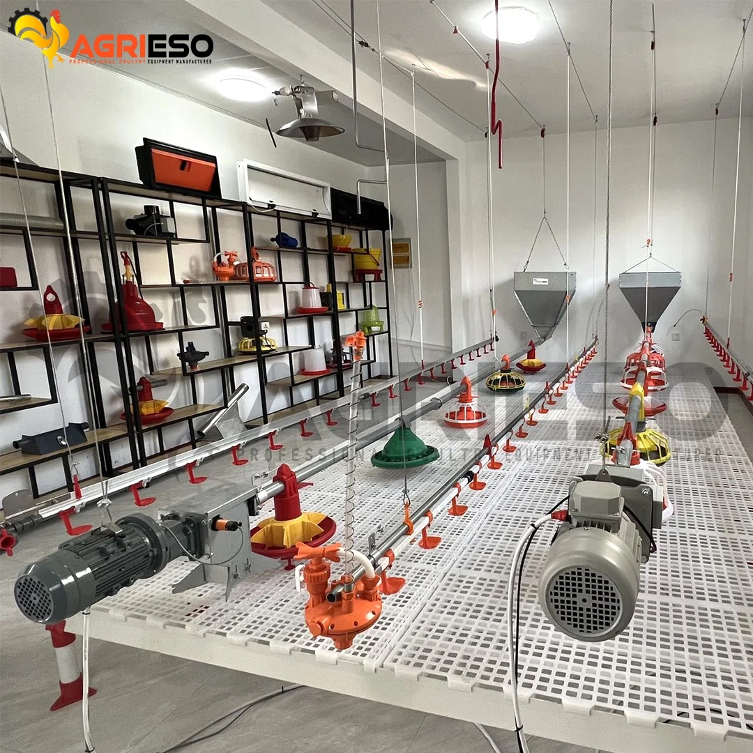 Agrieso Competitive Price Automatic Poultry Farming System Feeding Line Equipments For Broiler Layer Breeder Chicken Farm Use