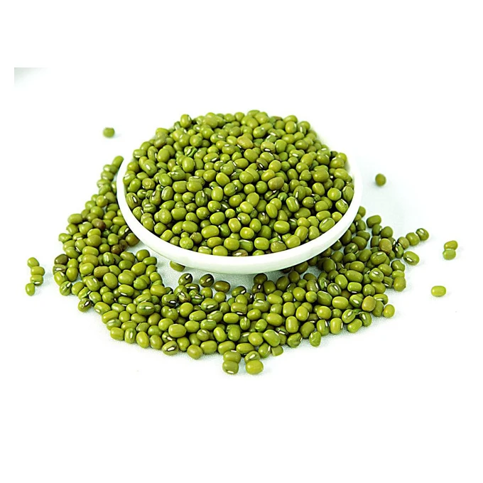 High Quality Export Buyers Bulk Price Fresh Small Dried Mung Green Beans For Sale