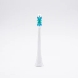 New Brush Head BL551 Patent Design Sonic Toothbrush Replacement From Baolijie Factory OEM Available