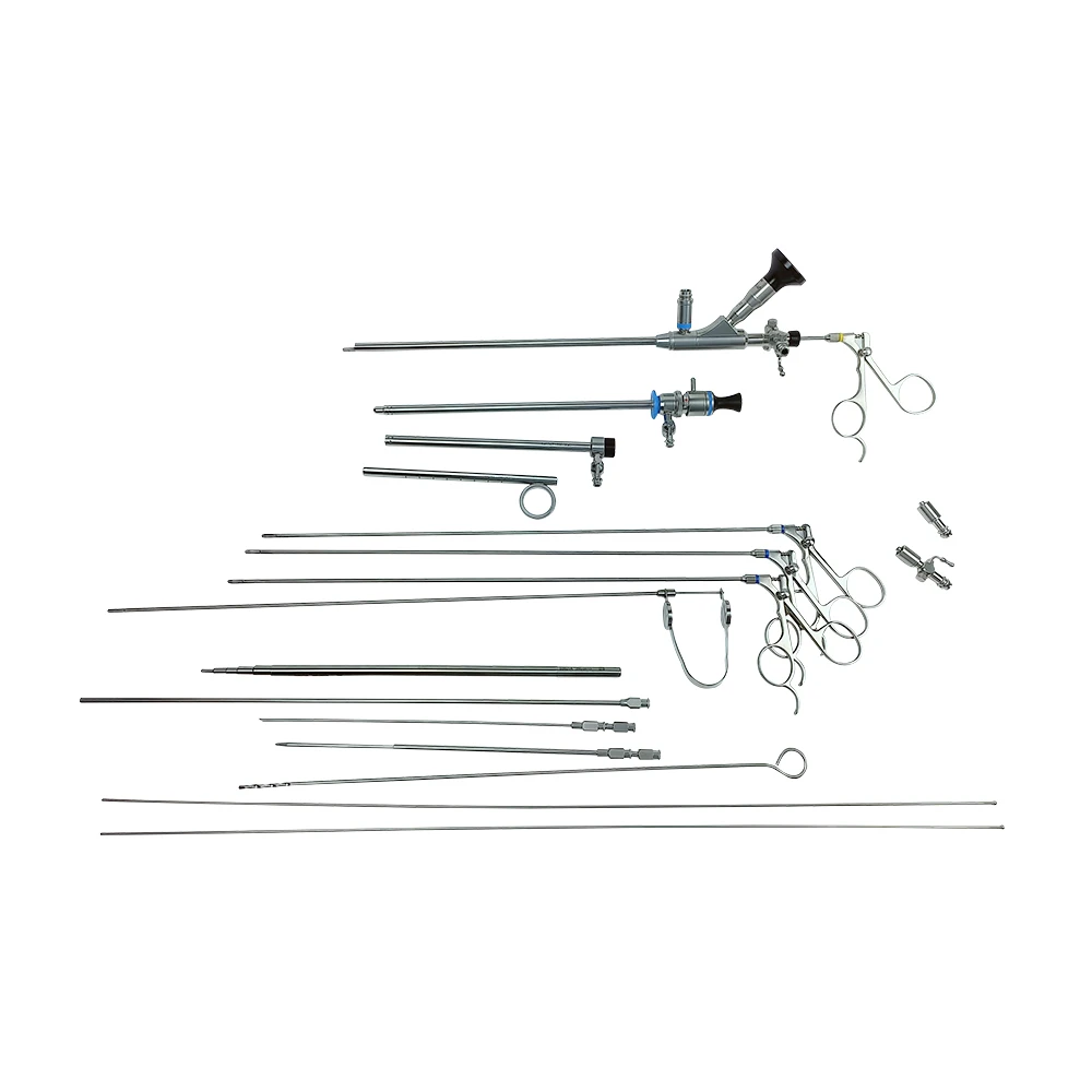 Camjoy R Wolf MINI PCNL Transcutaneous Nephroscope 12 Fr Nephroscope For Hospital Medical Surgical instruments Urology