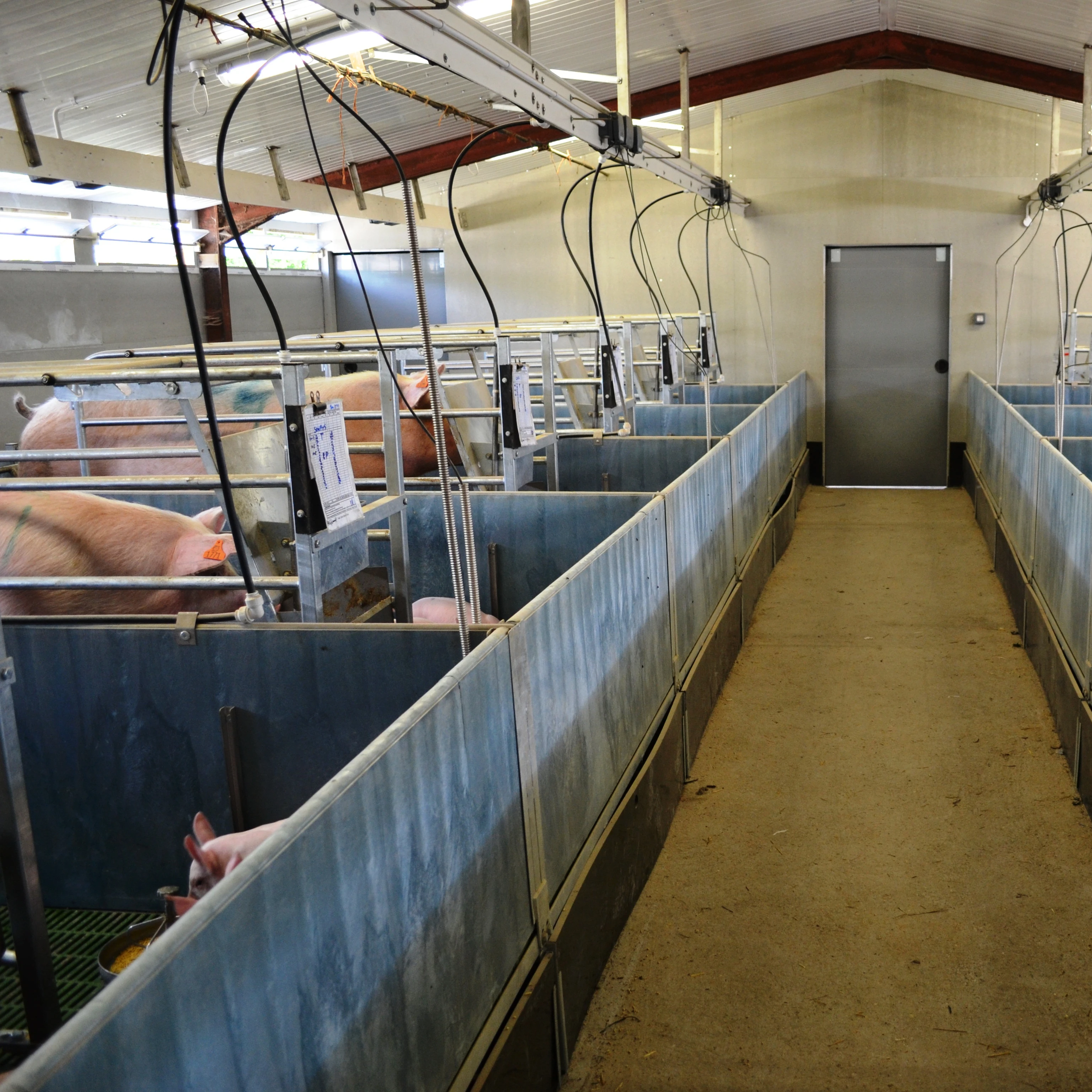 agricultural prefabricated pig farm house