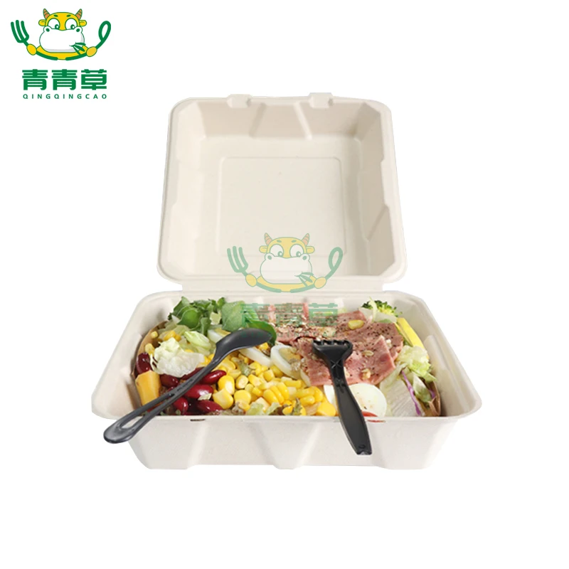 one time use sugarcane bagasse container molded paper pulp box degradable tableware made in China