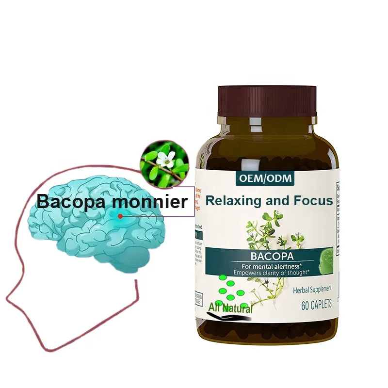 Оптимальная Расслабляющая добавка для фокуса экстракт Bacopa капсулы памяти и когнитивных функций фабрика