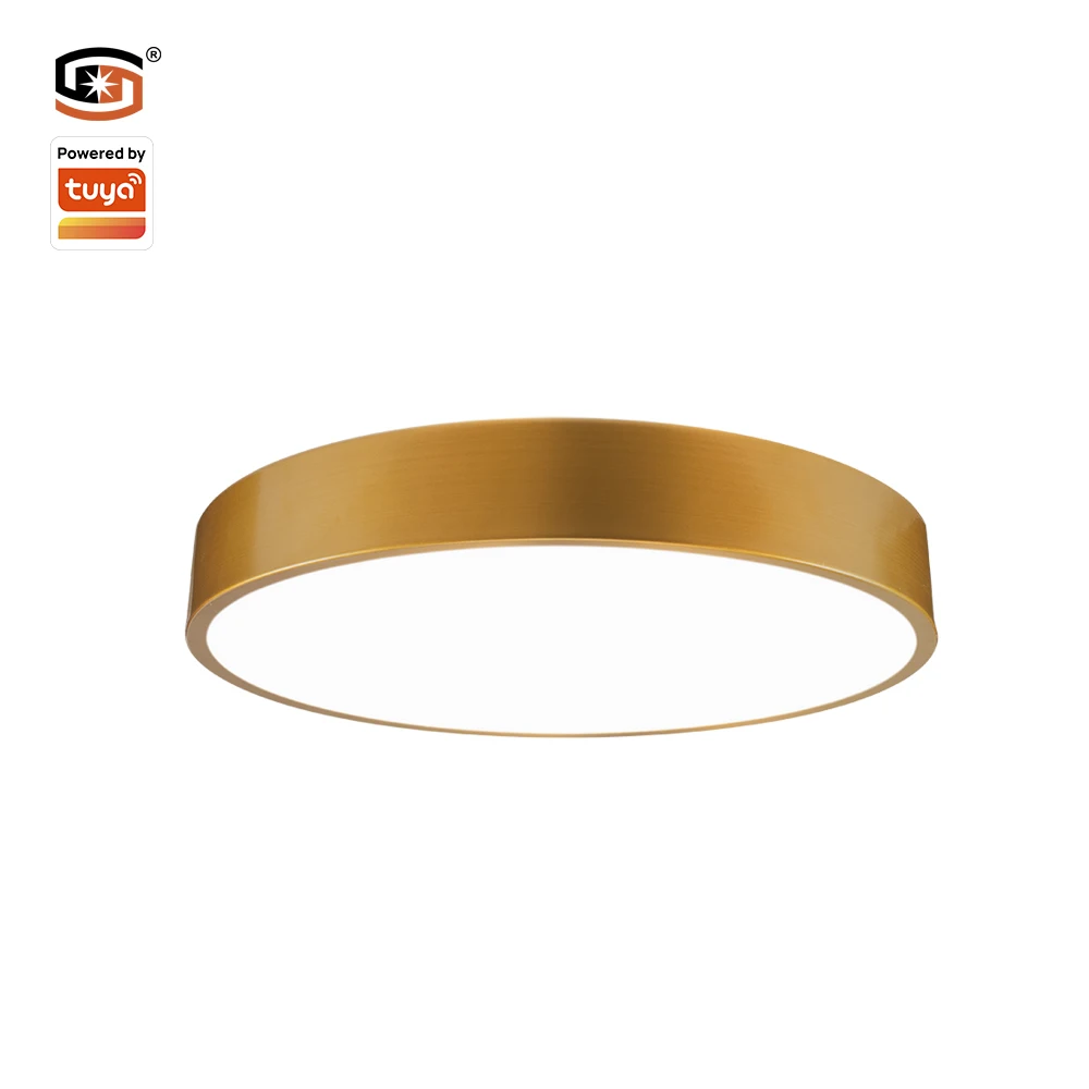 CCT Shell Thickness Adjustable Dimming 36W Wifi Led Photographi Light Panel Round 0.7mm  PF0.95 Tuya Smart APP/Voice Control