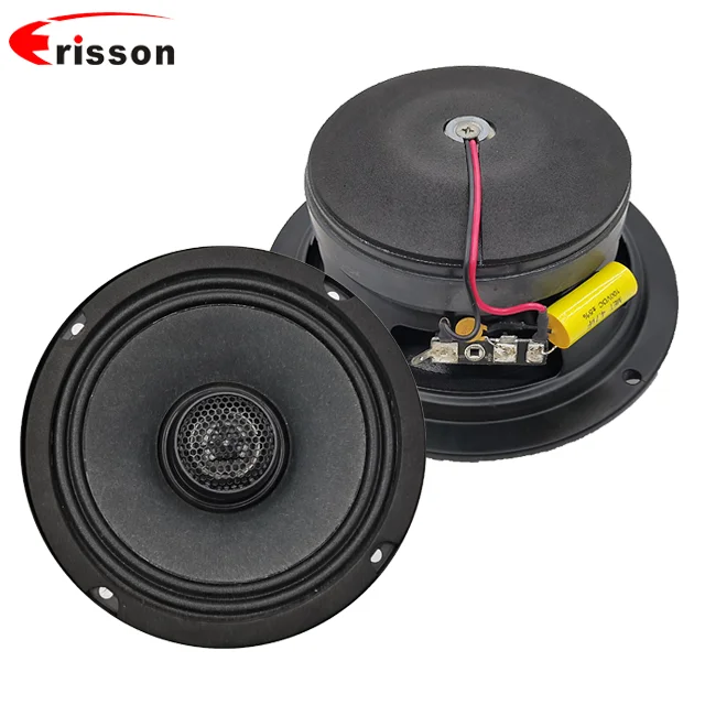 High Quality OEM/ODM Professional Coaxial Speakers 65 Inch Marine Speaker 100 Watts with midbass woofer