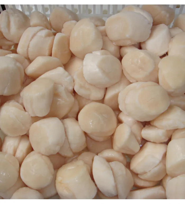 New Season Good Price Frozen Sea Scallop Meat Hot Sale in Scallop