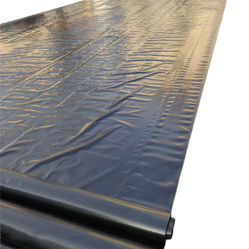 Fish Pond Dam Liner Farm Sewage Fouling Tanks Swimming Pool Landfill River Slope Protection Waterproof HDPE Geomembrane