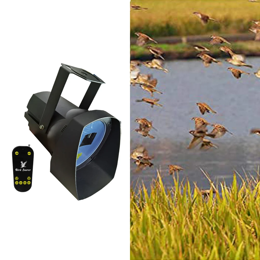 Pest Control Laser light Bird Control Pigeon Repellent with Waterproof IP65 RG laser for Outdoor Indoor