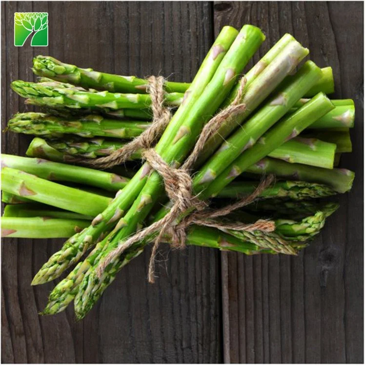 
High germination direct sow method vegetable seeds asparagus officinalis asparagus seeds 