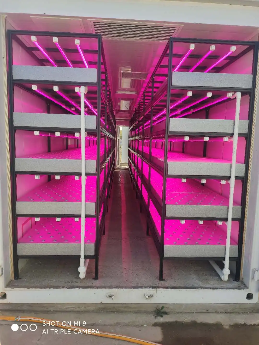 Vertical Hydroponics Container Vertical Farming Systems Commercial Greenhouses