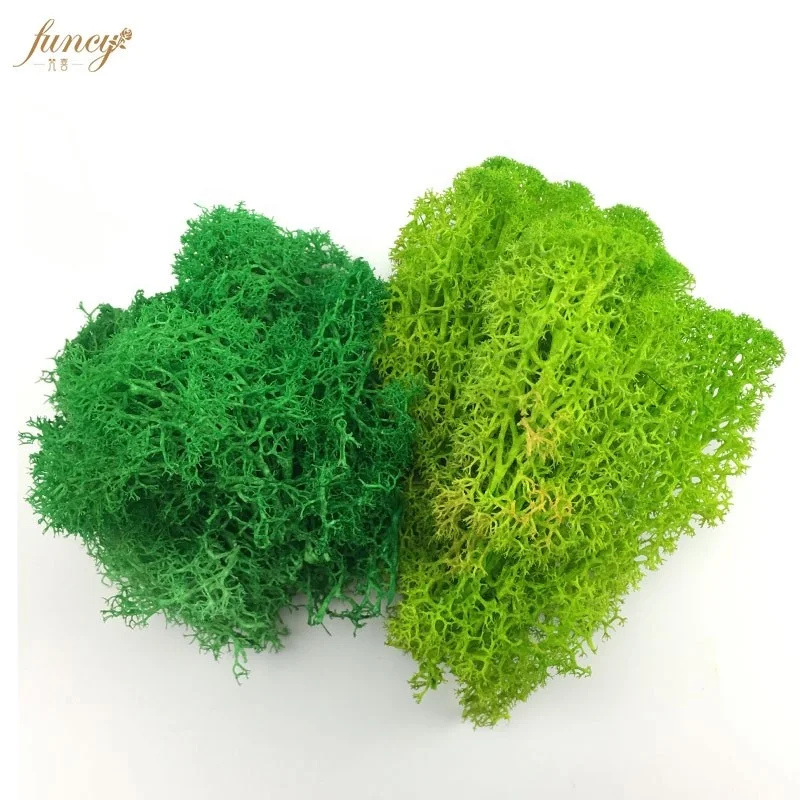 
2019 Hot Factory Wholesale Luxury Office Decoration Green Real Natural Art Frame Panel Stabilize Reindeer Wall moss stabilized 