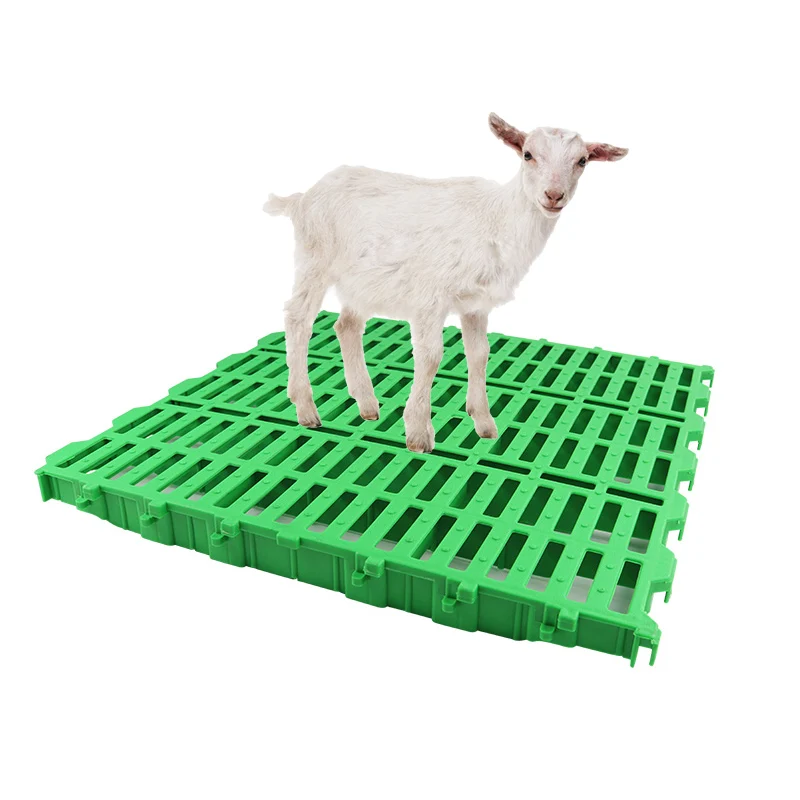 sheep plastic slat floor for goat farm in pakistan