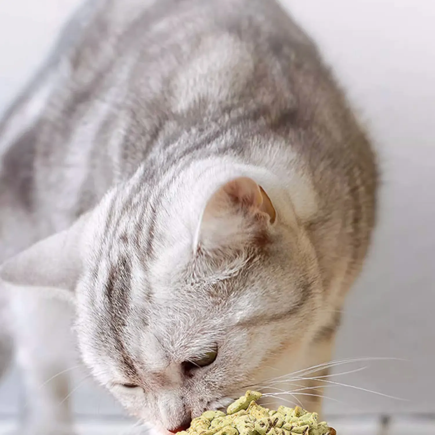Vitamin cat grass biscuits cat hair changing ball slices small fish biscuits nutritional teeth grinding cat biscuits snacks