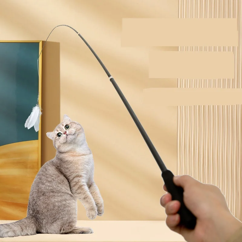 Joypet Retractable Interactive Cat Feather Wand Toys Teaser Refills With Bell Cat Fishing Rod For Cat Kitten