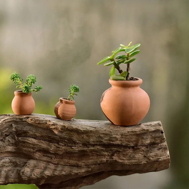 Set of Three Classic Zen Garden the Thumb Pocket-Size Small Mini Terracotta Planter Succulent Pot