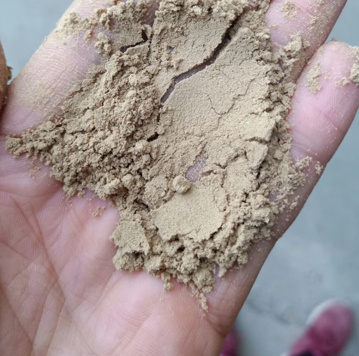 Organic Fertilizer probiotics Bacillus pumilus for Agricultural Crops