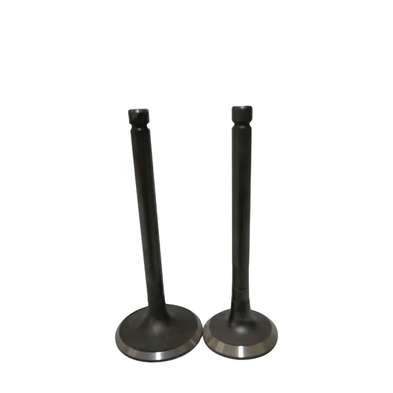 High Quality Engine valve For Lada 2101 Engine 2101-1007010 2101-1007012 Intake Exhaust Valve Auto Parts