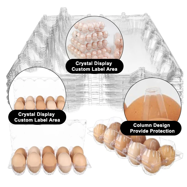 Plastic Egg Package Tray Egg Tray Supplier Plastic Egg Tray 10