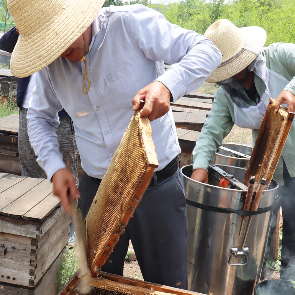 100% Pure, Raw and Unprocessed mature Sidr Honey