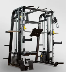 High Quality Multifunctional Professional Home Fitness Equipment Bench Press Dosmith All-in-One Machine with Cable Crossover