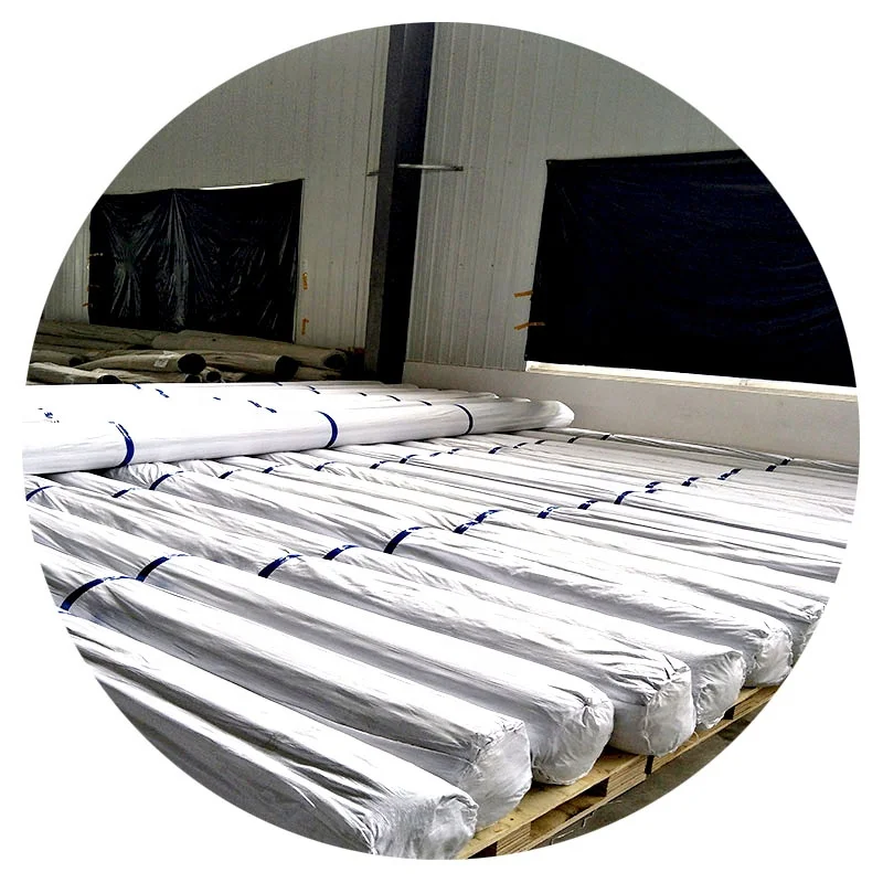 Best price polyester geogrid with fast delivery