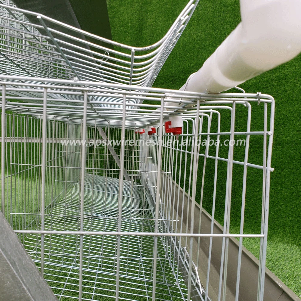 chicken laying cage galvanized automatic A type chicken cages layer poultry for farming
