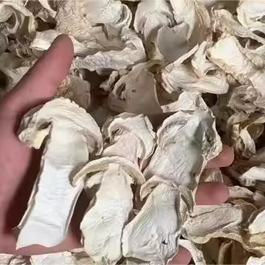 High Class Restaurant Health Food Dried Matsutake Mushroom Slices Dried White Mushroom Slices