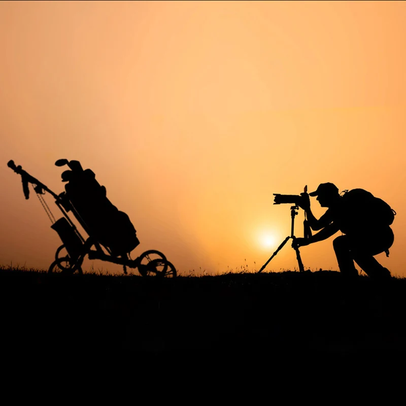 Hot Sales Customized Fix Any Size Load Capacity 40 Lbs Driving With A Ball Wheel Parts For Golf Trolley Parts