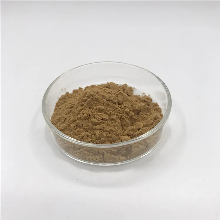100% Pure Natural Coriolus Versicolor Extract 10% Polysaccharides Trametes Versicolor Extract Powder