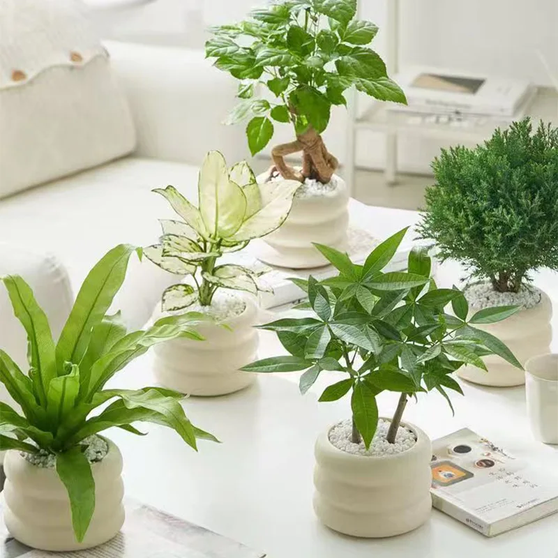 Small Size Light Luxury Premium Ceramic Planter Diversified Ceramic Vase For Interior Decoration Planter