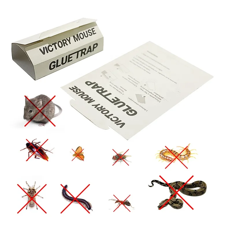 Оптовая продажа 2023, индивидуальная Высококачественная Экологически чистая ловушка для мышей и крыс, ловушка для мышей для бумаги и клея