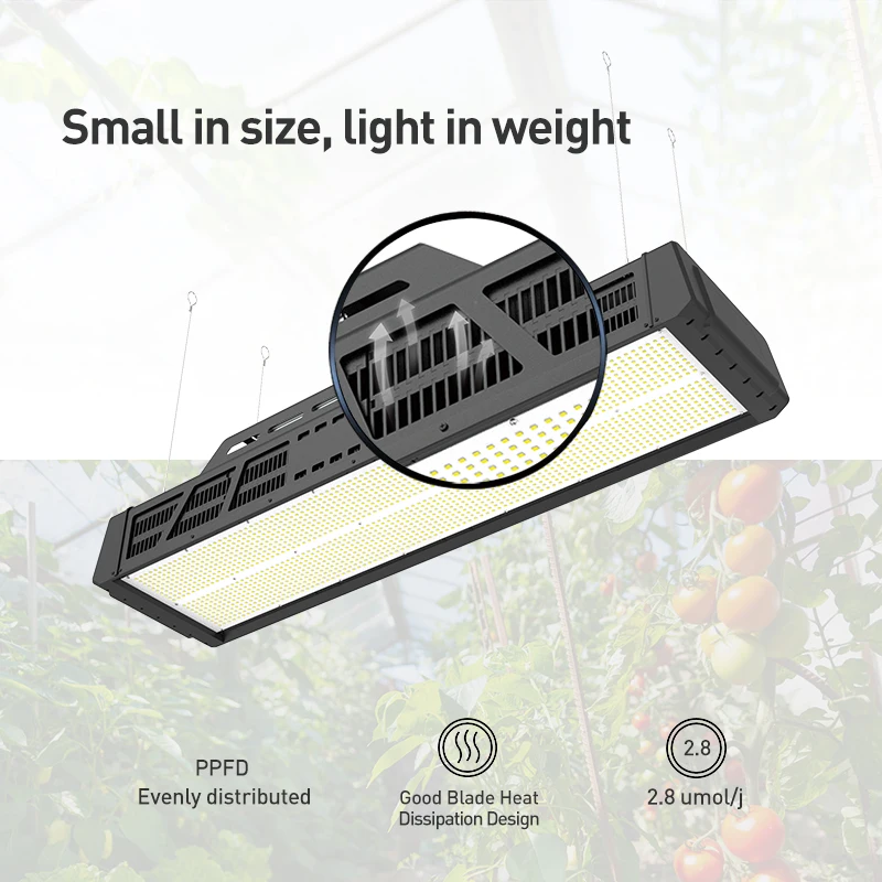 Hydroponic Growing System For Cucumbers Tomatoes Agricultural Indoor Plant Growth LED Grow Light for Greenhouse