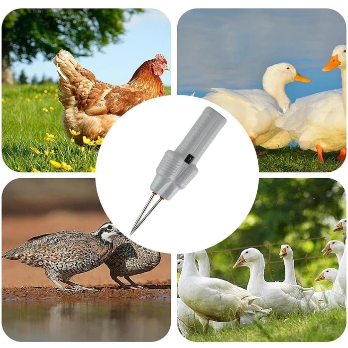 Factory Price Handheld Portable Chicken Quail Feather Removal Poultry Plucker Defeathering Tool Machine