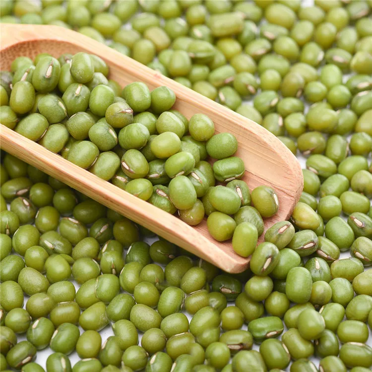  Factory Price Small Mung Bean Vacuum Packing Export Green