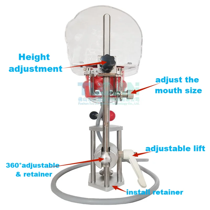 Simple Head Model Dental Simulator Phantom Manikin With Teeth For Dentist Teaching Practice Training Heads Study Dentistry